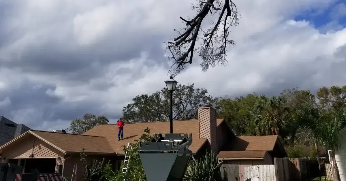 Expert emergency tree removal team clearing fallen trees from a residential property in Jacksonville, FL.