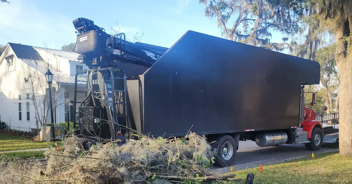 Healthy trimmed trees in a Jacksonville Beach residential yard
