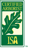 ISA