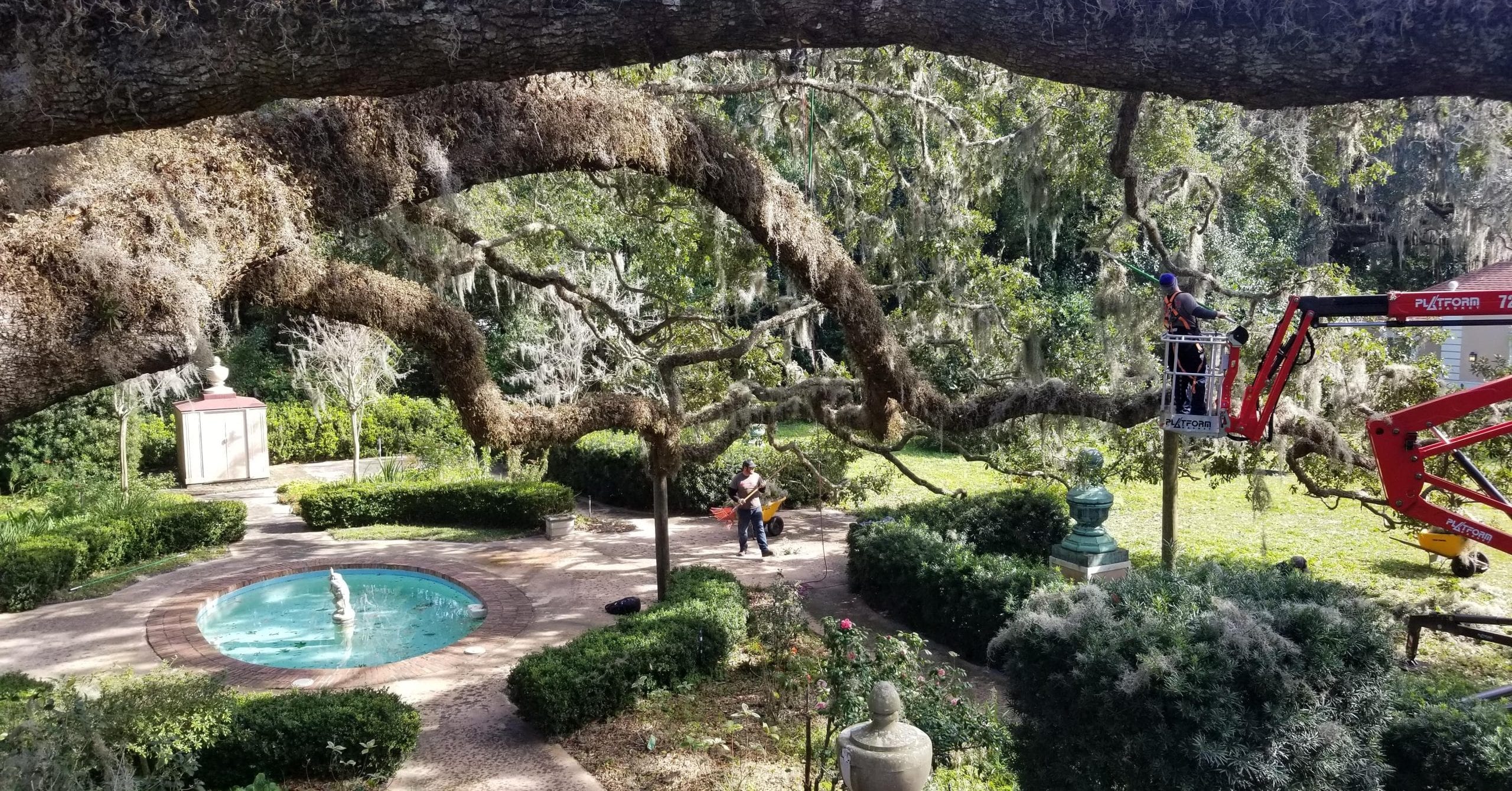 Large oak tree with branches extending over a Jacksonville house roof