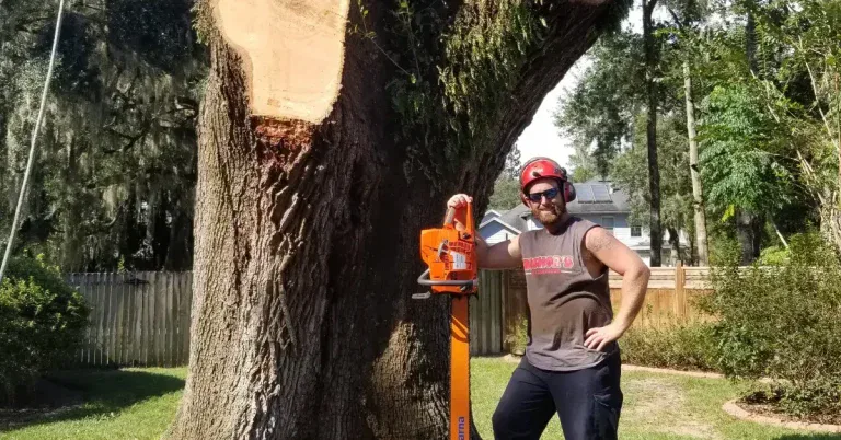 Arborist pruning a live oak tree in Jacksonville, Florida, with proper technique.
