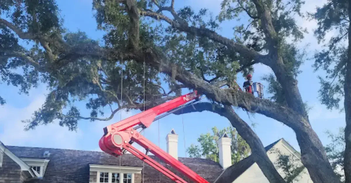 Professional arborist removing fallen tree after storm damage in Jacksonville neighborhood