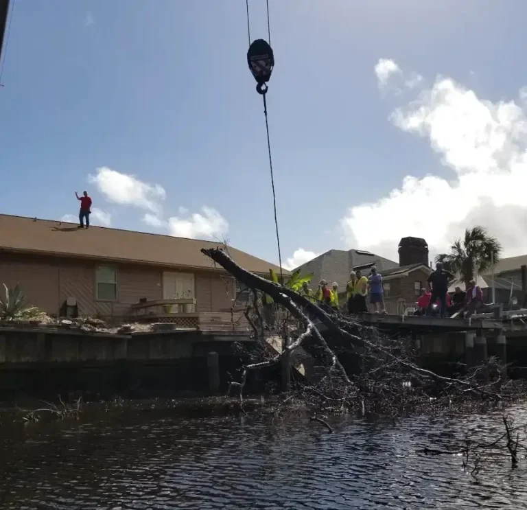 Storm-damaged tree cleanup by Bushor’s crew in Jacksonville FL yard