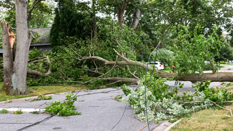 Fallen tree on a Jacksonville home after a storm, with emergency crew assessing the damage