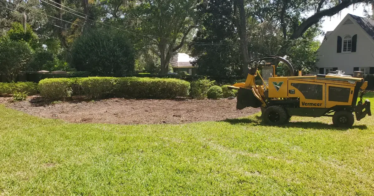 Tree stump removal service in Jacksonville, Ponte Vedra, and Northeast Florida