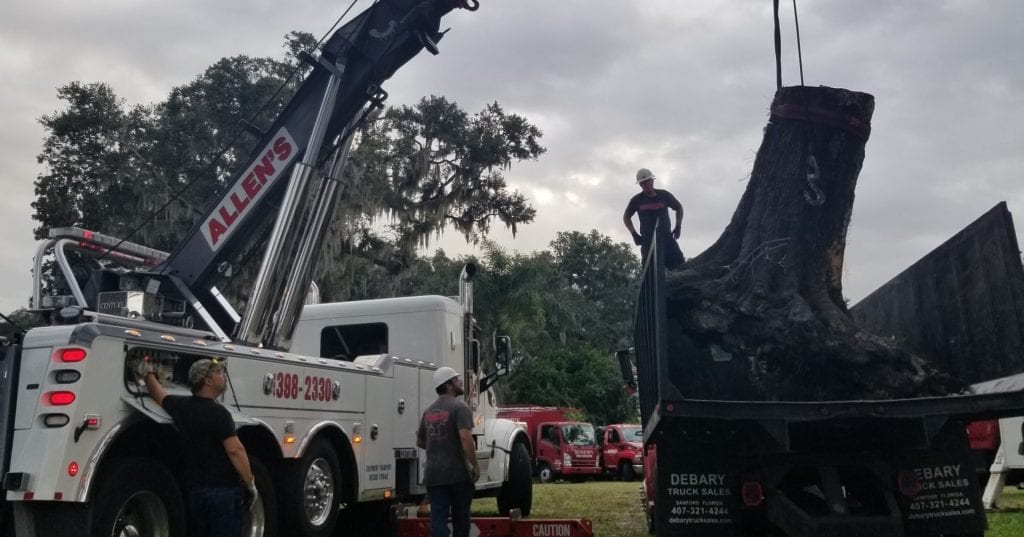 Stump Removal & Grinding