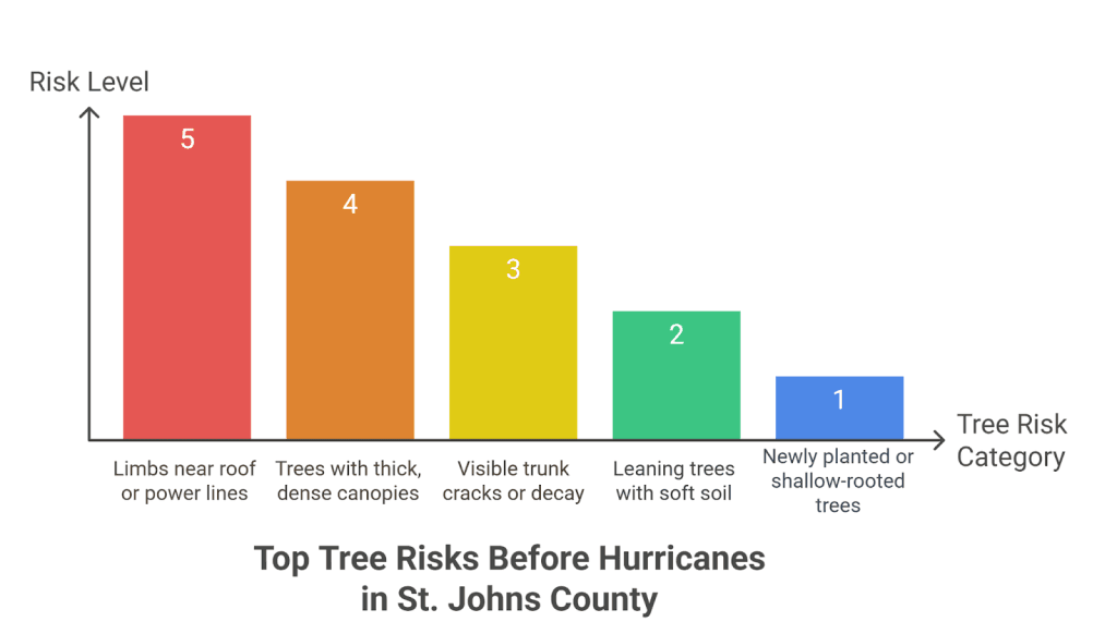 top tree risks before hurricanes