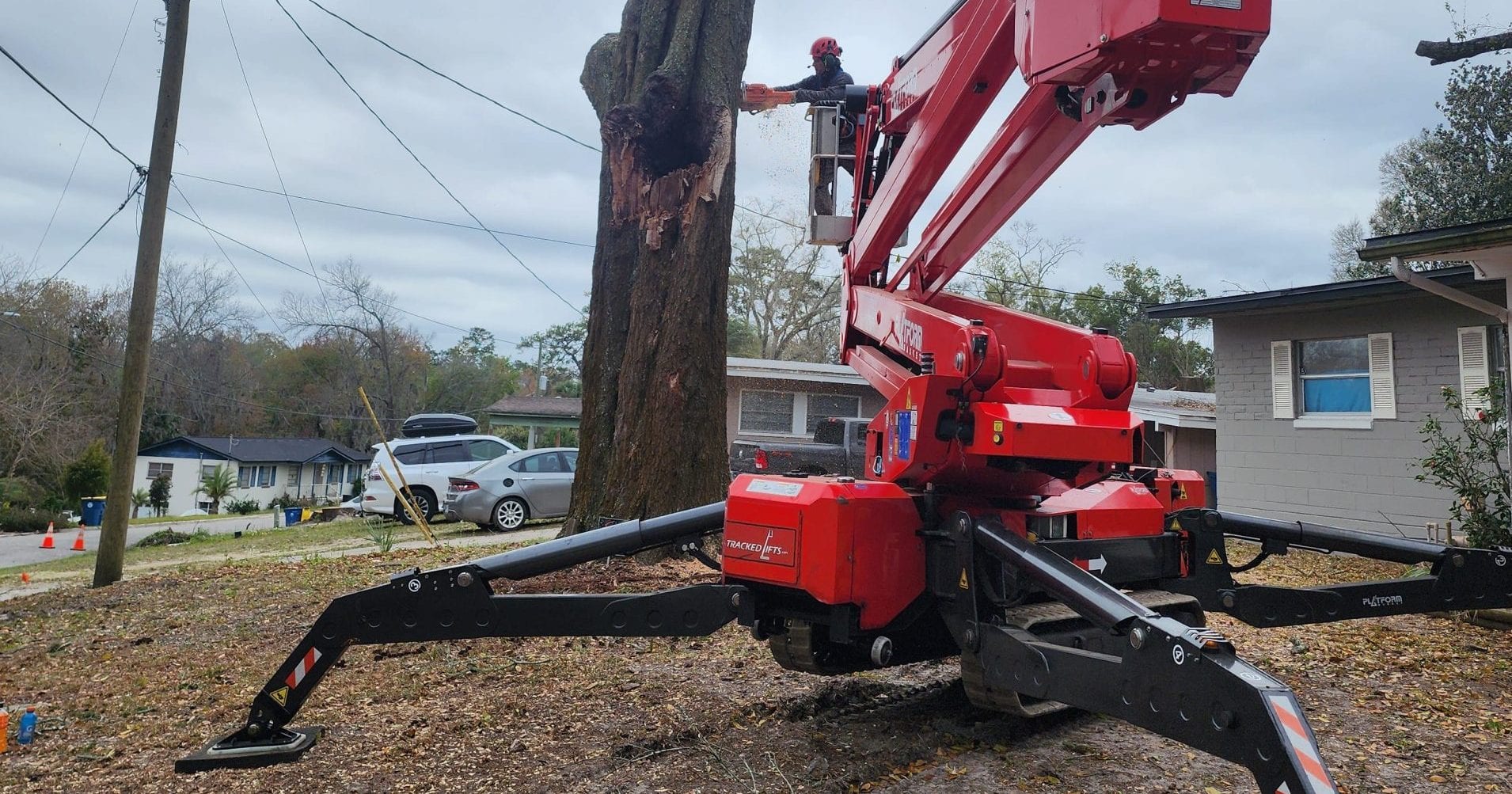 How Much Does Stump Removal Cost in Jacksonville, FL?