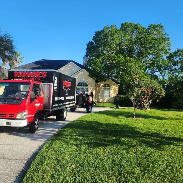 Tree Service in Ponte Vedra Beach, FL - Trimming, Removal & More