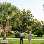 Palm trees in Jacksonville showing proper trimming versus over-pruned palms