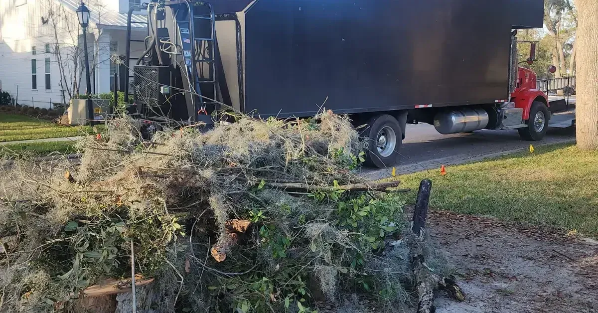 Does Insurance Cover Tree Removal After Storm Damage in Jacksonville, FL?