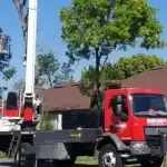 Tree Removal Cost Jacksonville, FL
