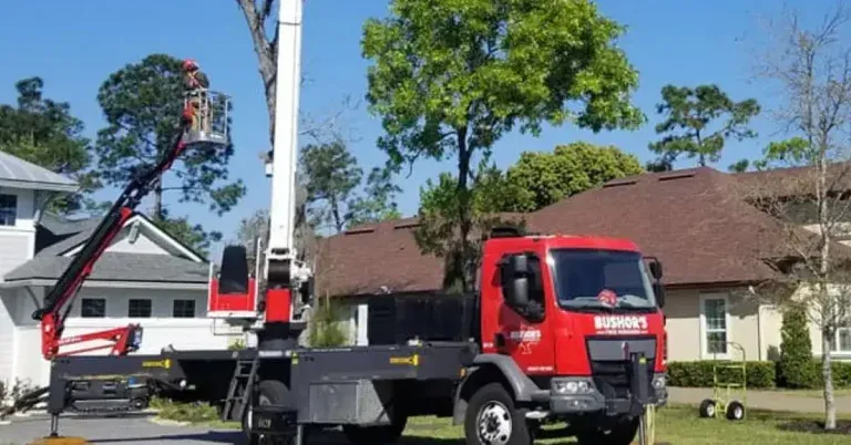 Tree Removal Cost Jacksonville, FL