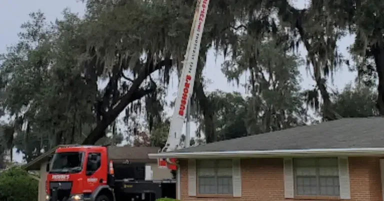 Tree Removal Cost Jacksonville, FL