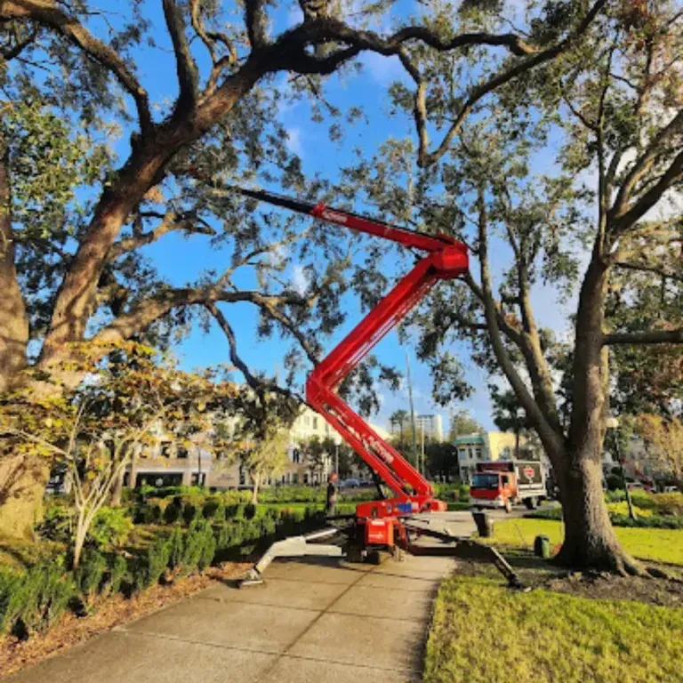 Emergency tree removal by Bushor's Tree Surgeons in Ponte Vedra Beach, Florida
