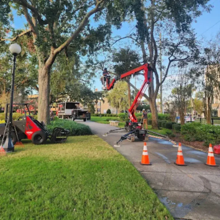 Experienced arborists from Bushor's Tree Surgeons delivering tree services in Jacksonville, FL and nearby communities