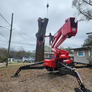 Bushor’s team performing tree removal in Atlantic Beach, FL, near a residential home