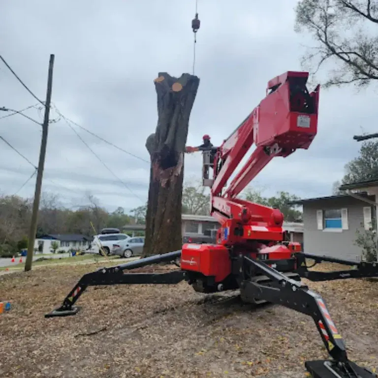 Bushor’s team performing tree removal in Atlantic Beach, FL, near a residential home