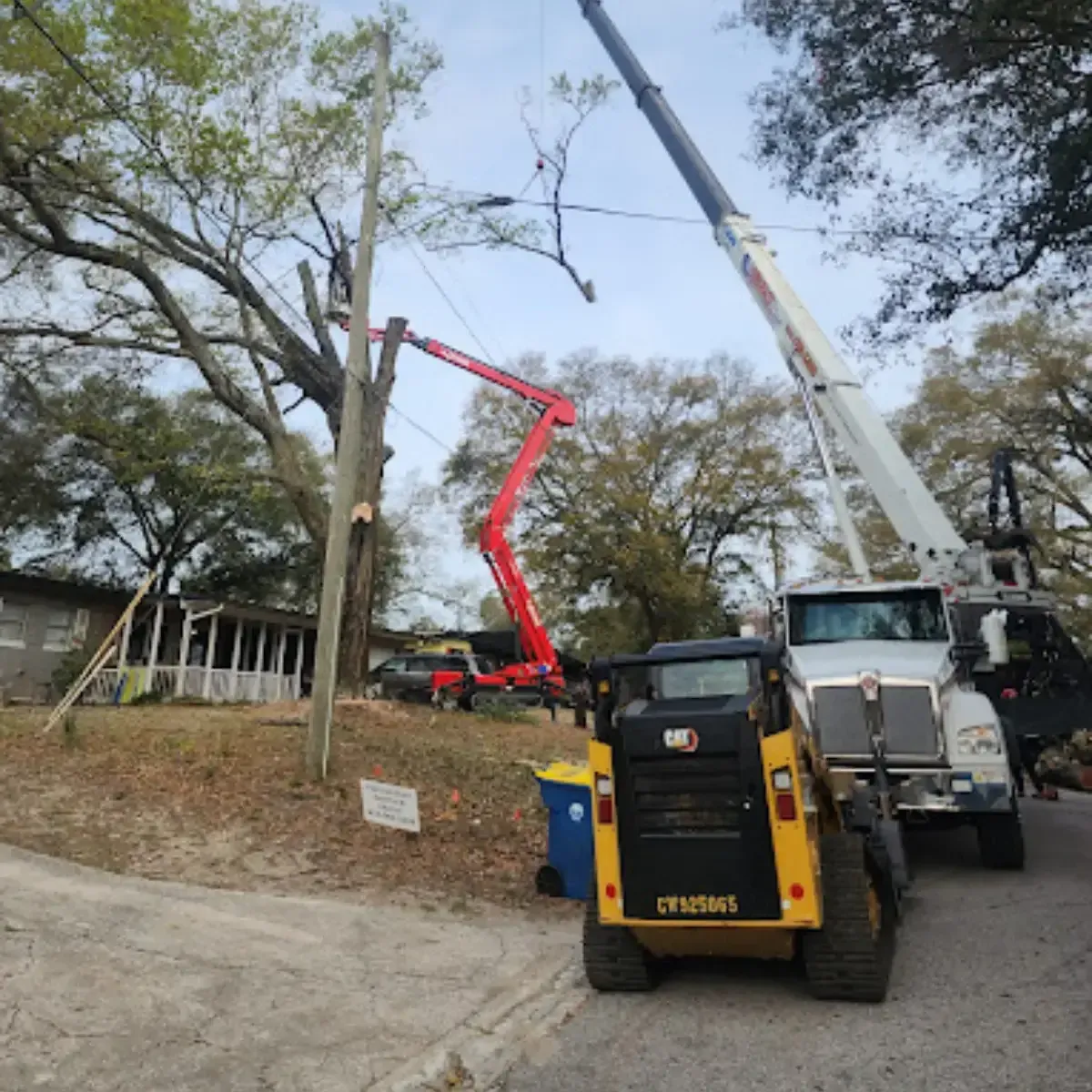 Certified arborists and crane operators performing emergency tree removal and storm cleanup in Ponte Vedra, FL.