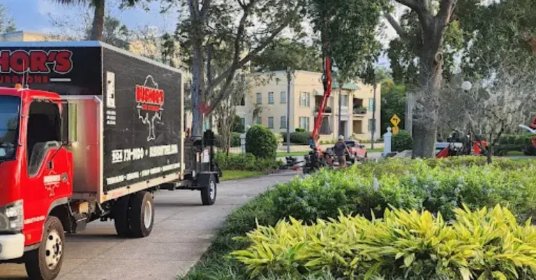 Certified arborist examining a partially decayed tree to determine if removal is needed