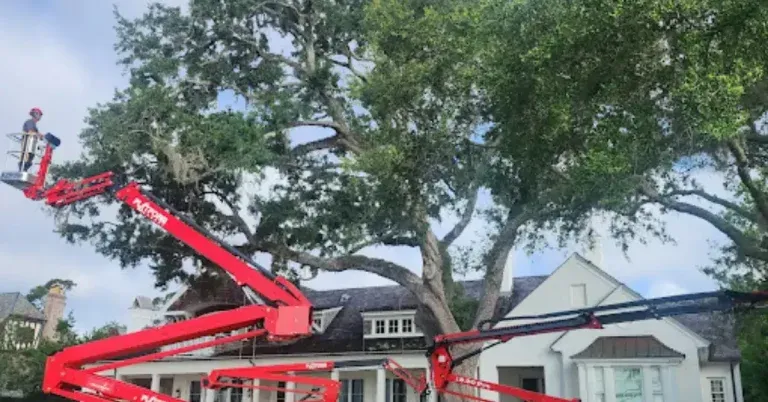 Emergency tree removal service in Jacksonville FL after storm damage