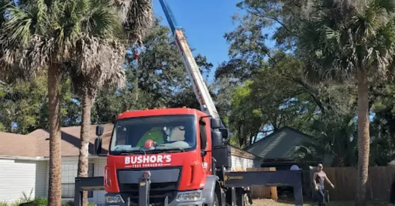 Certified arborist providing tree service in Jacksonville Beach, FL