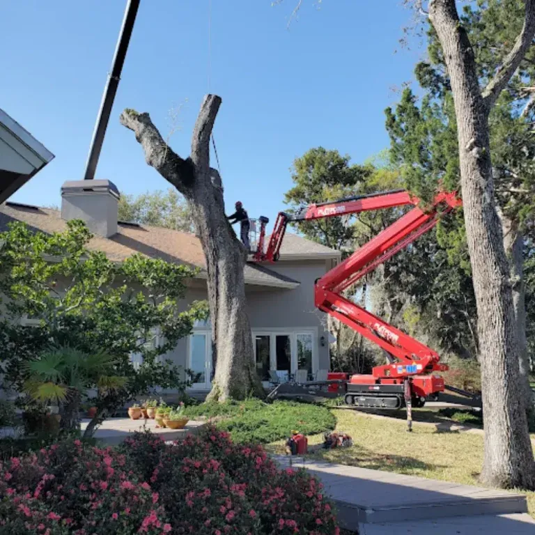 Tree Service in Ponte Vedra, FL