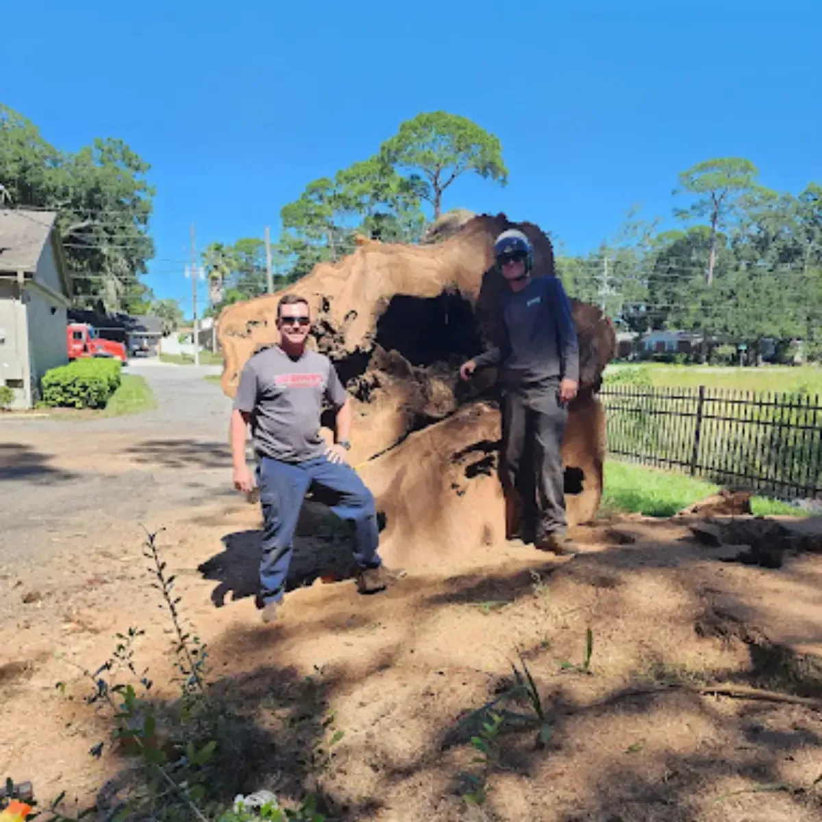 tree removal ponte vedra fl