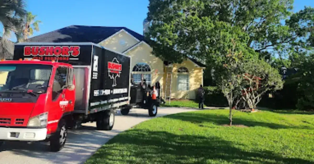 Tree Service in East Arlington, Jacksonville FL