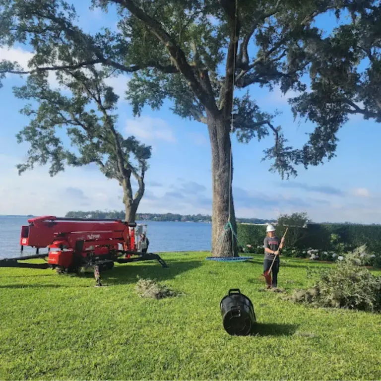 Certified tree removal team working in Ponte Vedra Beach