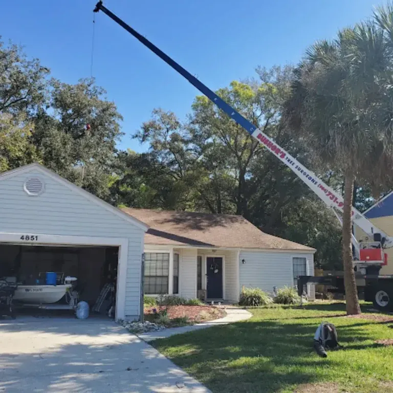 tree service jacksonville fl