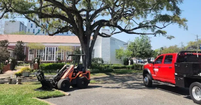 tree service ponte vedra beach fl