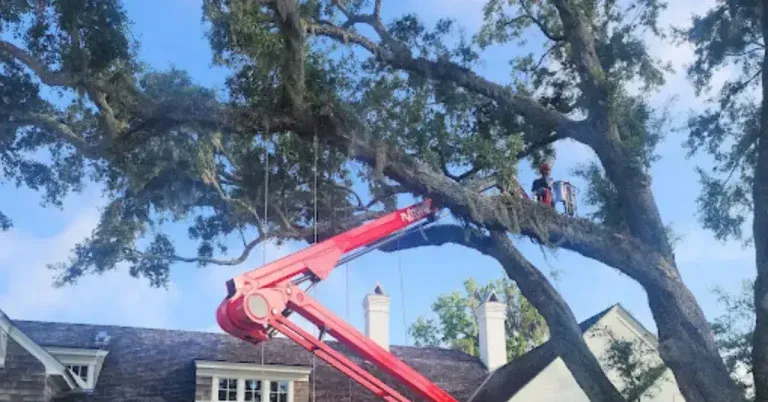 Professional arborist removing fallen tree after storm damage in Jacksonville neighborhood