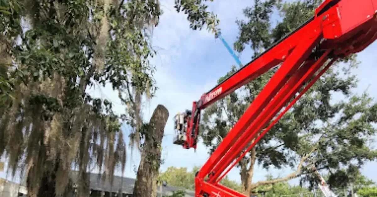 Bushor's Tree Surgeons performing tree service in Fernandina Beach, FL