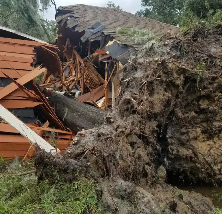 Bushor’s Tree Surgeons crew responding to emergency tree removal in Jacksonville FL