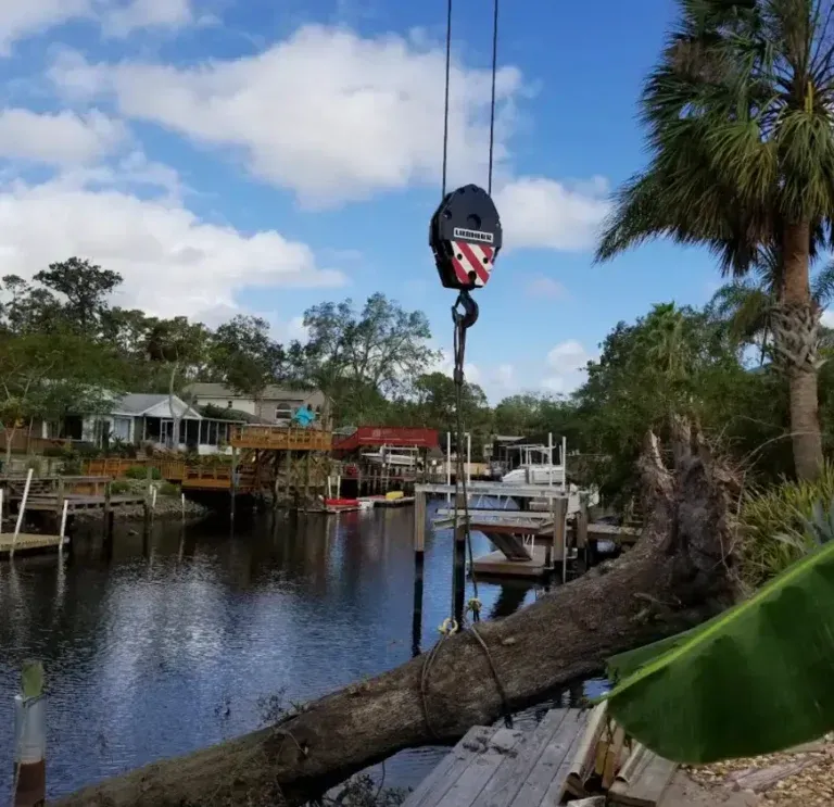 Crane lifting broken tree trunk away from power lines in Jacksonville emergency