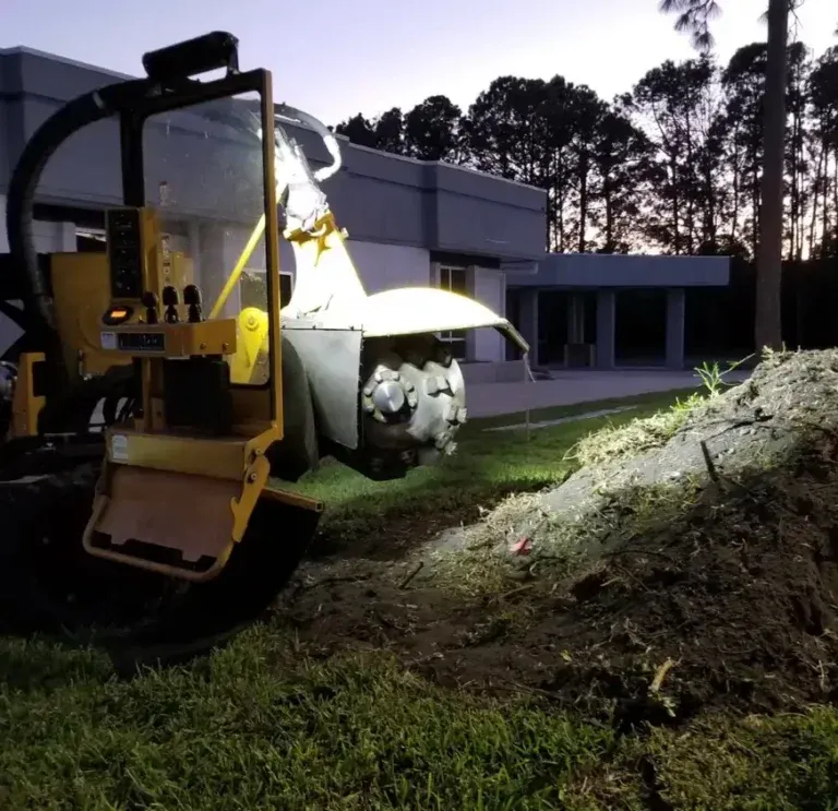 Certified arborist conducting tree health inspection in Jacksonville FL