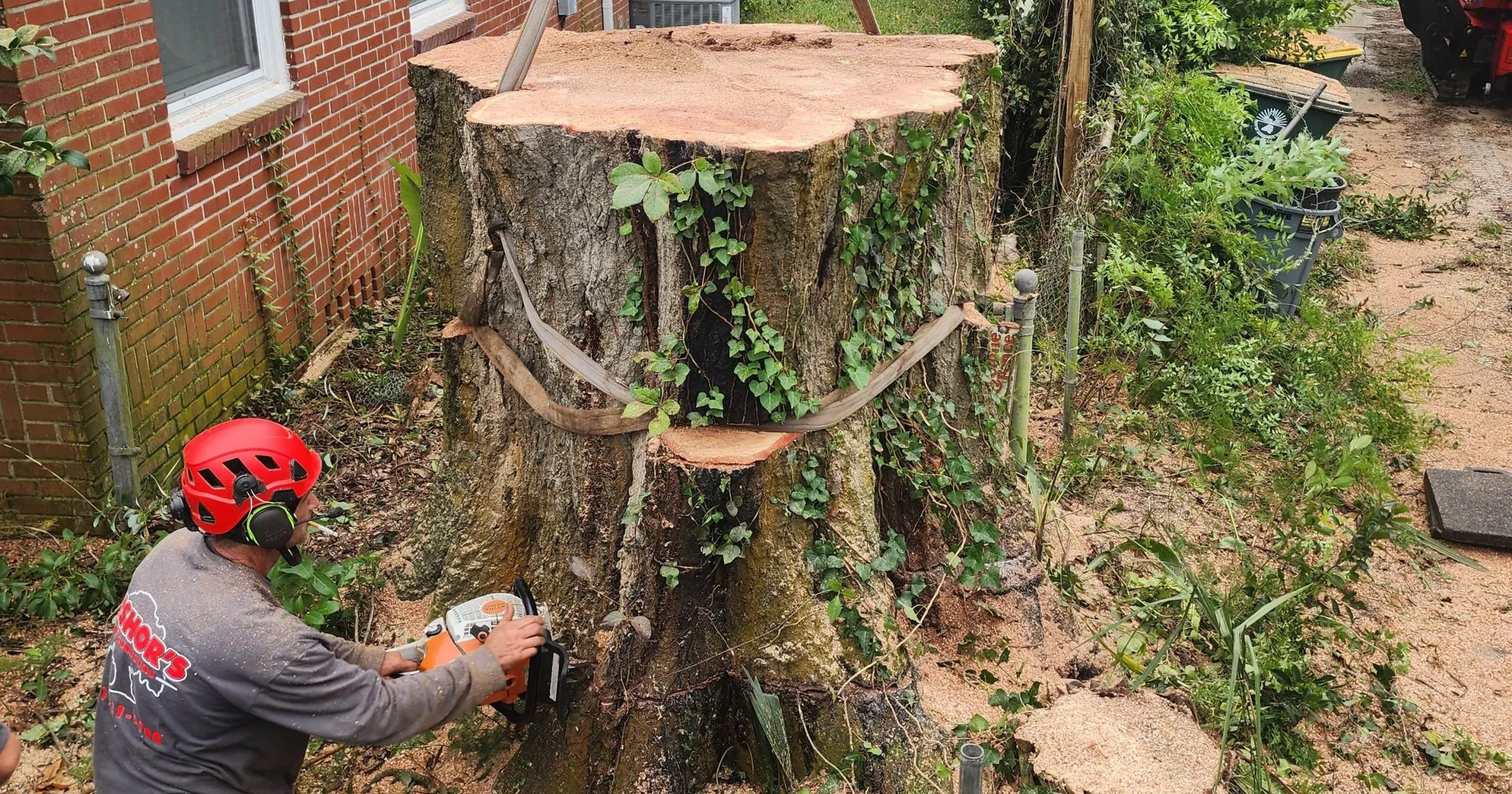 Certified arborists providing professional tree service in Doctors Inlet FL