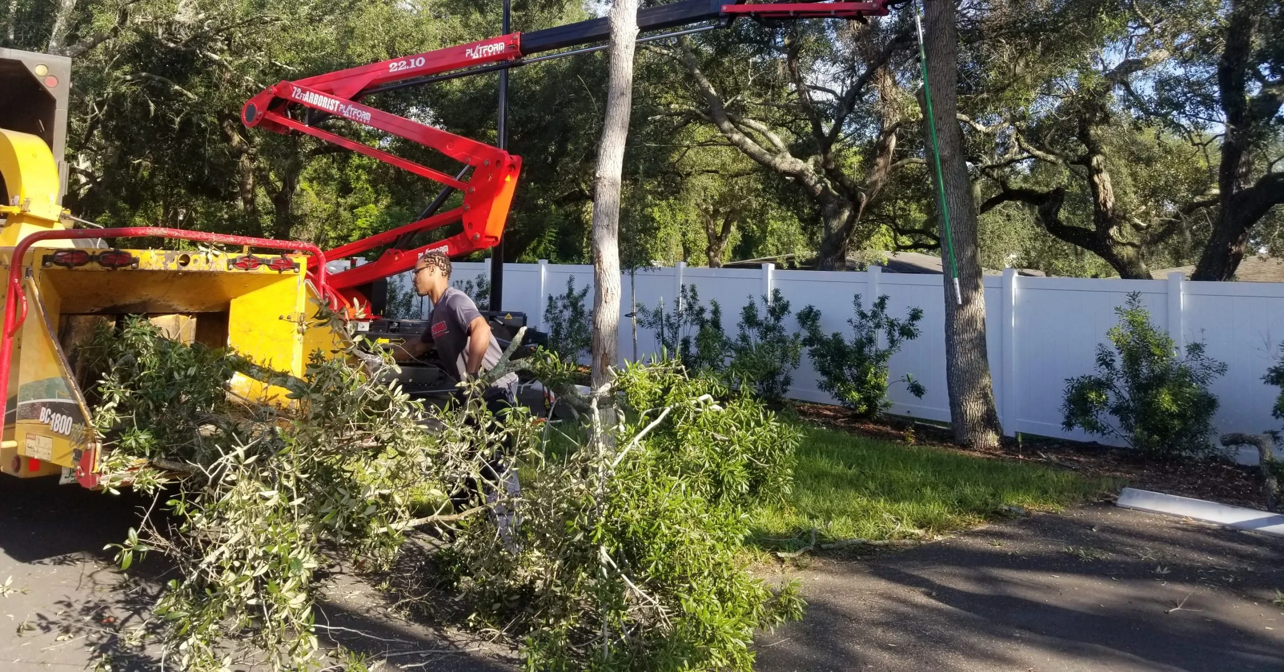 Bushor’s Tree Surgeons performing expert tree removal – trusted tree service in Fleming Island, Florida