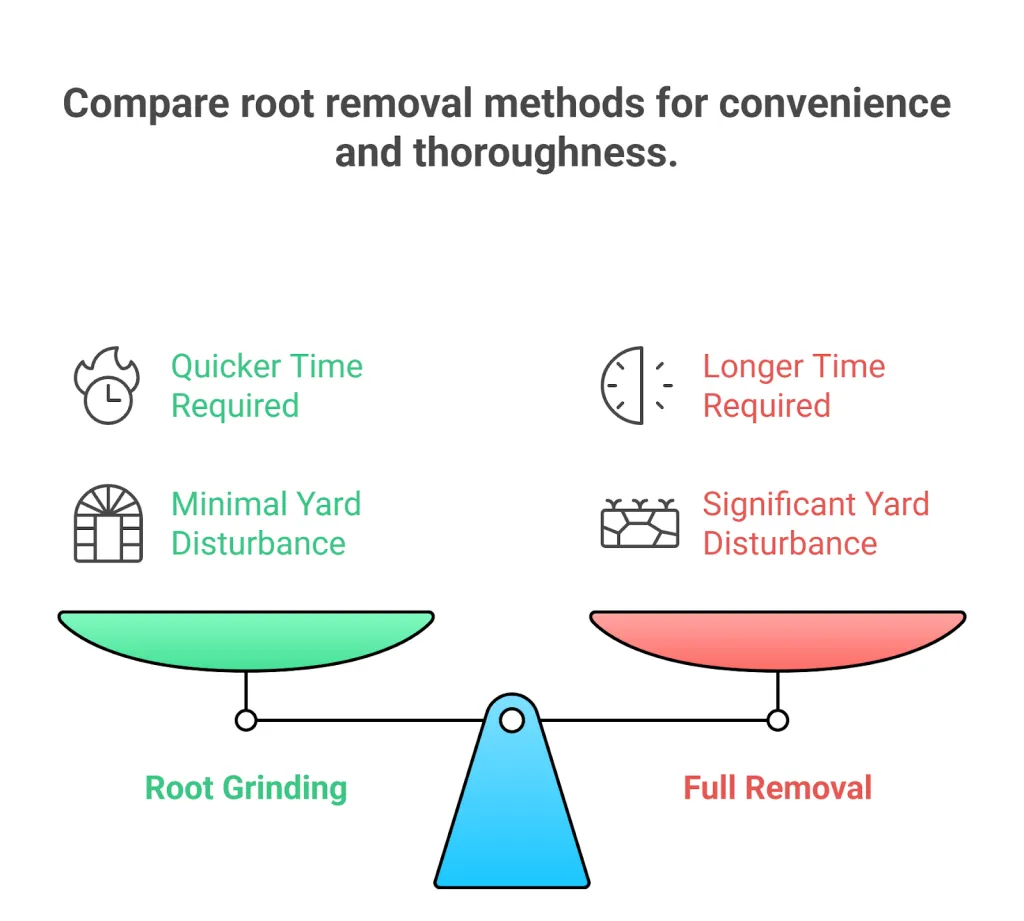 Tree Root Grinding vs. Full Removal: