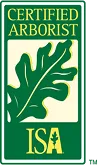 ISA