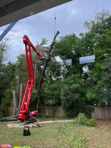 Crane-assisted laurel oak removal by Bushor’s Tree Surgeons at a residential property in Jacksonville, FL