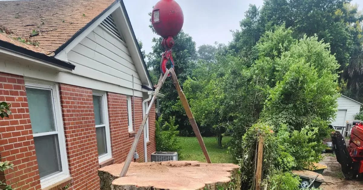 ISA Certified Arborist evaluating a storm-damaged tree leaning over a residential roof in Jacksonville Florida