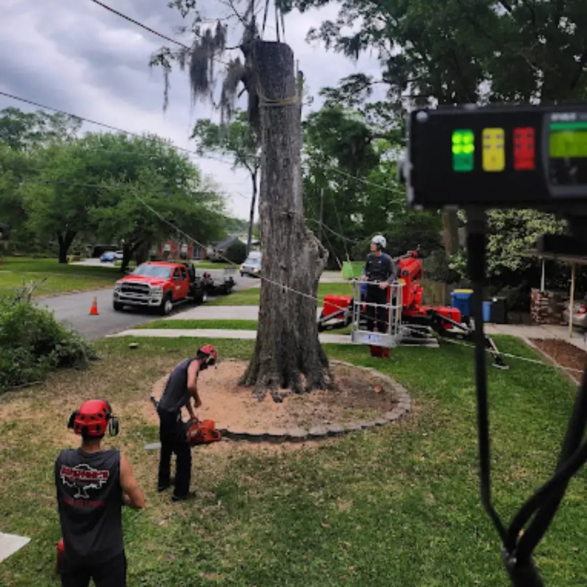 Bushor's Tree Surgeons has over 60 years of experience handling tree removal in St. Johns. Call now for a free estimate.